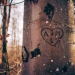 2015年斯诺克英锦赛全程高清直播精彩对决 4u2hqu