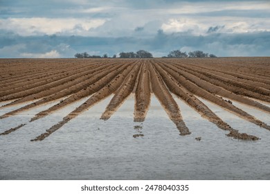 3d开奖结果233期最新精准号码已全面揭晓 3d开奖结果233期最新精准号码已全面揭晓