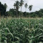 2016围甲联赛巅峰对决全程高清直播 badqdfo