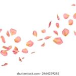 3d开奖结果252期具体开奖时间查询 dylmg0p08