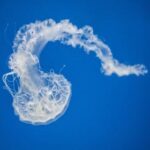 2016年NBA季后赛全程高清直播精彩对决不容错过 htbrit