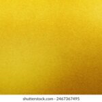 2015法网公开赛全程高清直播精彩回顾 i7hoir4v