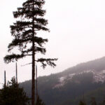 2016世俱杯巅峰对决全程赛事直播精彩不容错过 jh5ecr