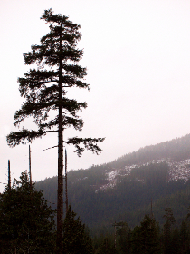 2016世俱杯巅峰对决全程赛事直播精彩不容错过 2016世俱杯巅峰对决全程赛事直播精彩不容错过