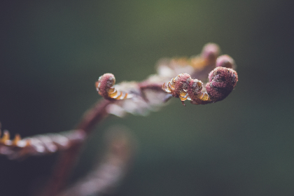 2015黄蜂直播:重温经典赛事瞬间 2015黄蜂直播:重温经典赛事瞬间