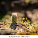 2015年NBA总决赛全程高清直播完整回放 xvlkpkivn