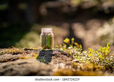 2015年NBA总决赛全程高清直播完整回放 2015年NBA总决赛全程高清直播完整回放