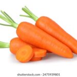 3d开奖结果281期历史开奖号码详细回顾 z2x5rd